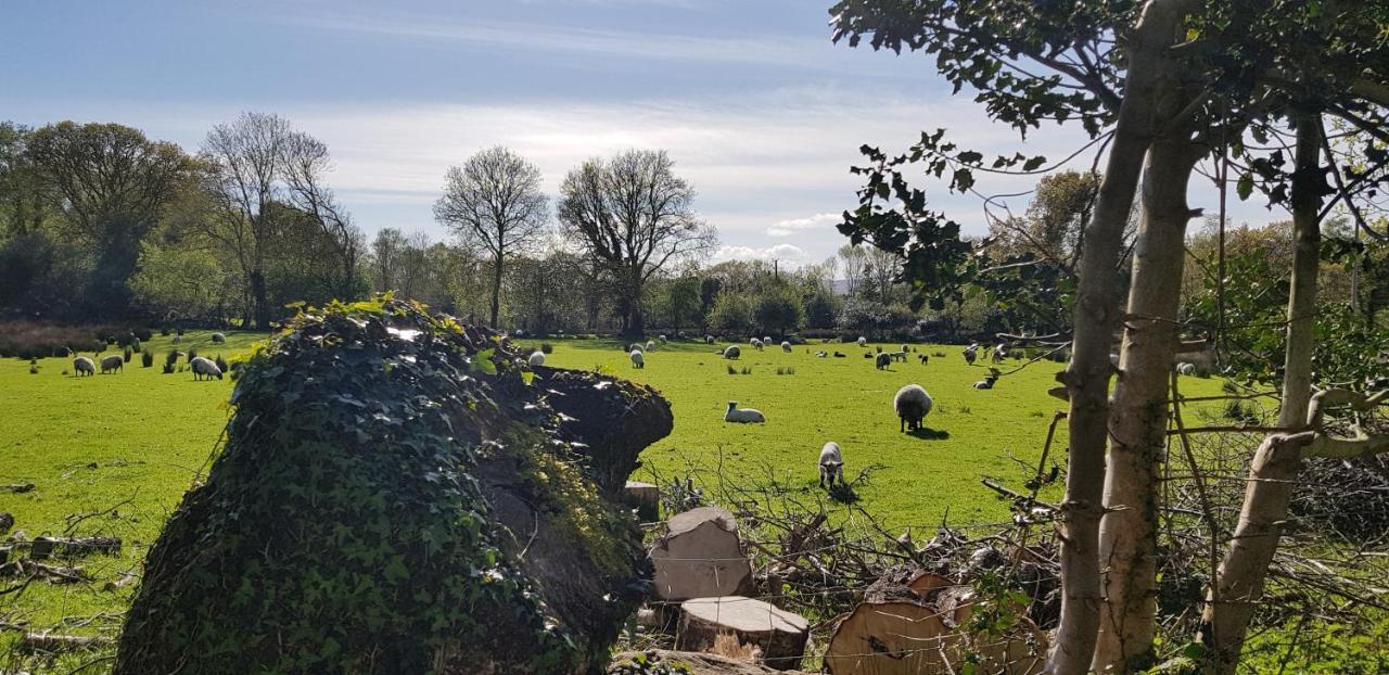 Mountain View Bed & Breakfast, Kenmare, Co. Kerry, Ireland Bagian luar foto