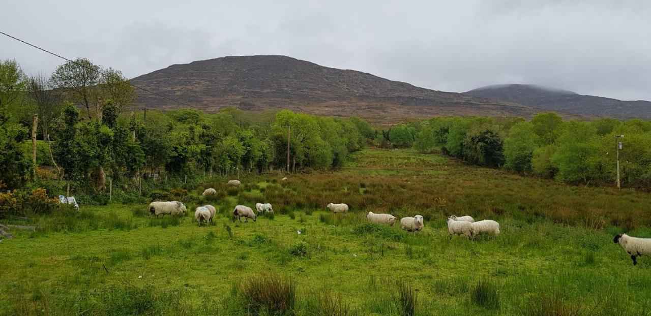 Mountain View Bed & Breakfast, Kenmare, Co. Kerry, Ireland Bagian luar foto